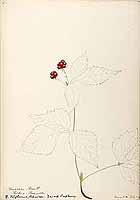  no thumbnail available