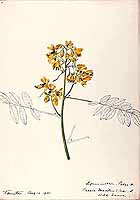  no thumbnail available