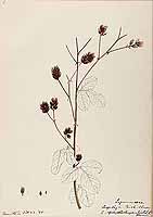  no thumbnail available