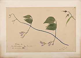  no thumbnail available