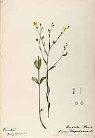  no thumbnail available