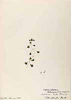  no thumbnail available