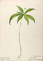  no thumbnail available