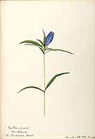  no thumbnail available