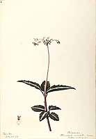  no thumbnail available