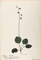  no thumbnail available