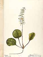  no thumbnail available