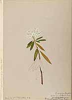  no thumbnail available