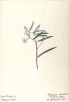  no thumbnail available