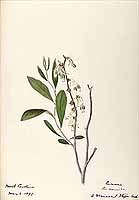  no thumbnail available