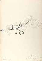  no thumbnail available