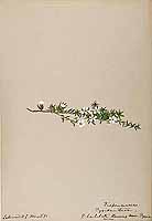  no thumbnail available