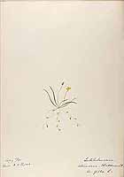  no thumbnail available