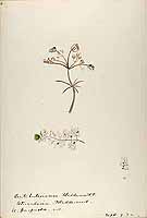  no thumbnail available