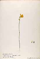  no thumbnail available