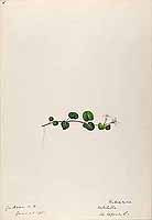  no thumbnail available