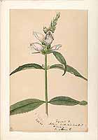  no thumbnail available