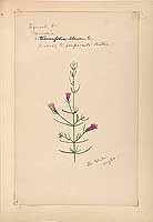  no thumbnail available