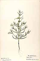  no thumbnail available