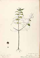  no thumbnail available