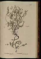  no thumbnail available