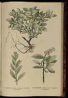  no thumbnail available