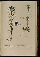  no thumbnail available