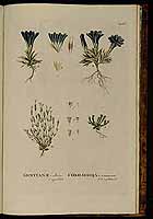  no thumbnail available