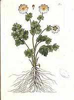  no thumbnail available