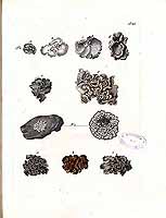  no thumbnail available