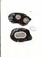  no thumbnail available