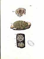  no thumbnail available