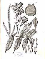  no thumbnail available