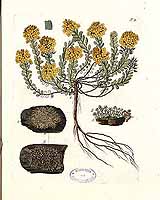  no thumbnail available