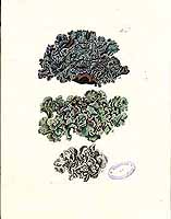  no thumbnail available