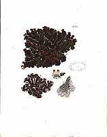  no thumbnail available