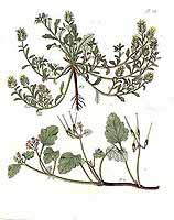  no thumbnail available