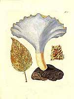  no thumbnail available