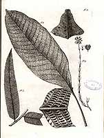  no thumbnail available