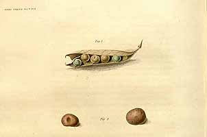  no thumbnail available