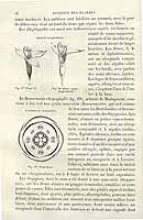  no thumbnail available