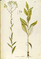  no thumbnail available