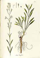  no thumbnail available