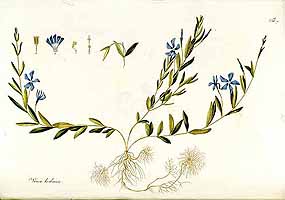  no thumbnail available