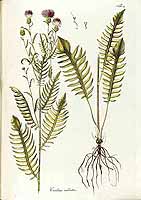  no thumbnail available