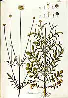  no thumbnail available