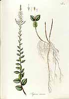  no thumbnail available