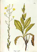  no thumbnail available