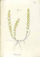  no thumbnail available