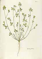  no thumbnail available